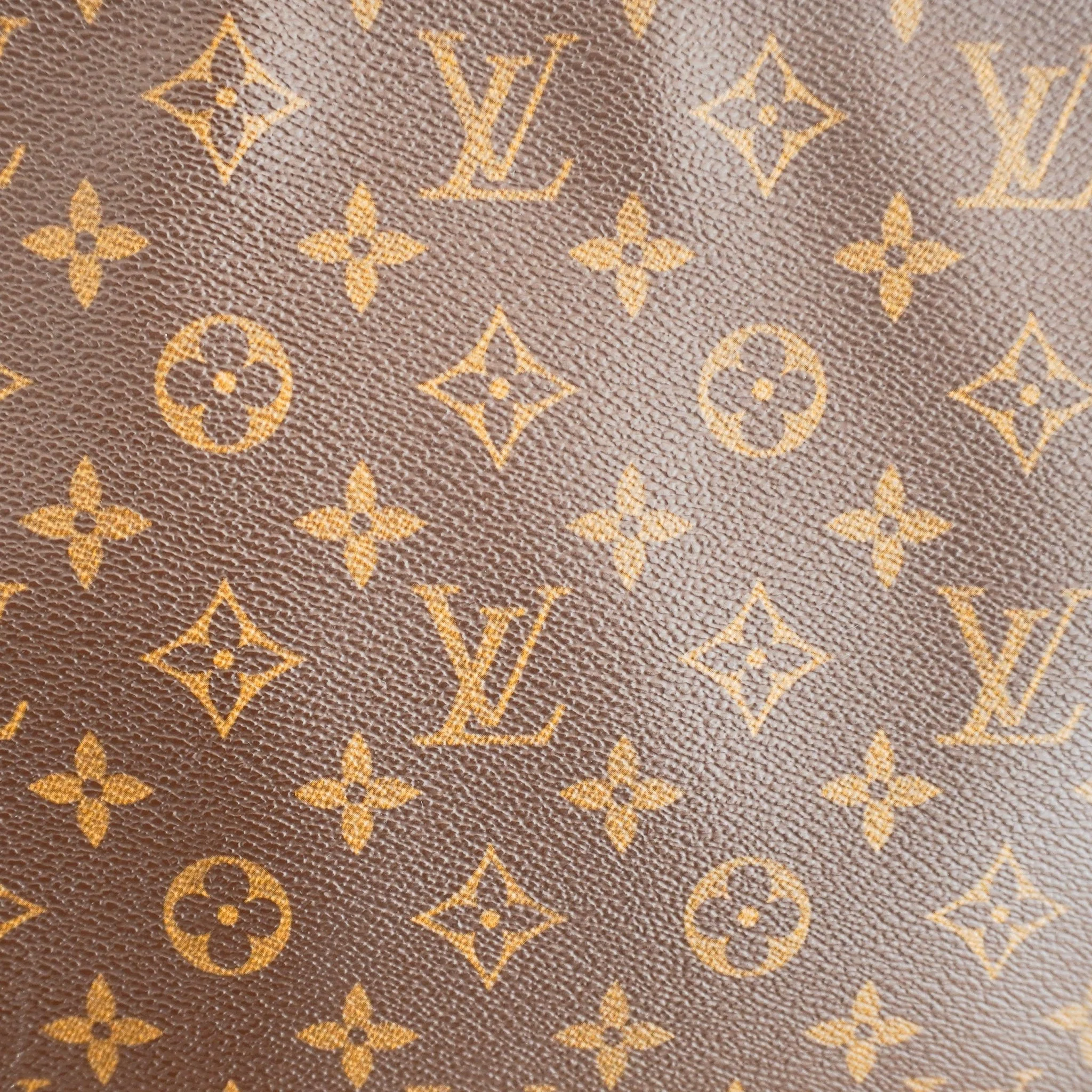 Louis Vuitton Loop Bag Monogram Canvas | Authentic Preloved - Image 10